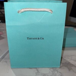 Tiffany & Co. Signature Shopping Tote with white Handle ( small)